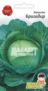 Капуста «Бригадир»