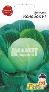 Капуста «Колобок»