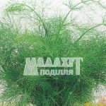 Кріп «Кронос»