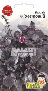 Базилік Фіолетовий