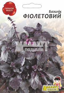 Базилік Фіолетовий