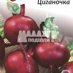 Буряк столовий Циганочка