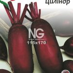 Буряк столовий Циліндр