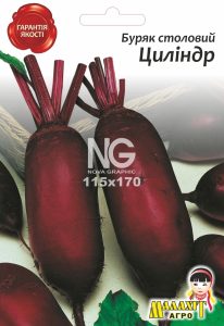 Буряк столовий Циліндр