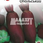 Буряк столовий Опольський
