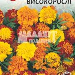 Чорнобривці Високорослі