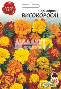 Чорнобривці Високорослі
