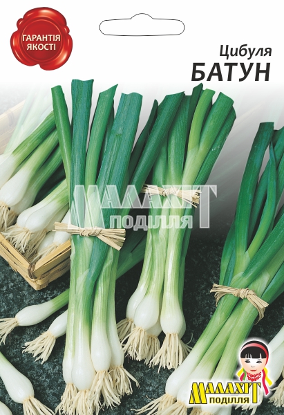 Цибуля Батун 948772_1 Цибуля Батун - Зображення 1