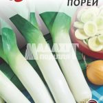 Цибуля Порей