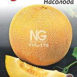 Диня Насолода