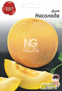 Диня Насолода