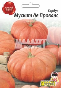 Гарбуз Мускат де Прованс