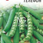 Горох Телефон