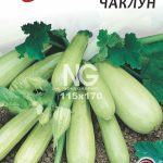 Кабачок Чаклун