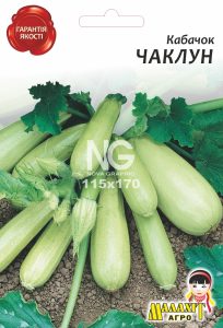 Кабачок Чаклун