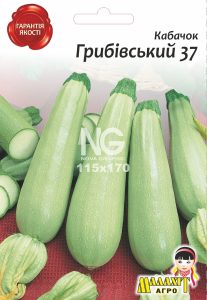 Кабачок Грибівський