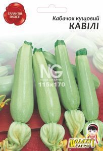 Кабачок Кавілі