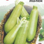 Кабачок Малюк