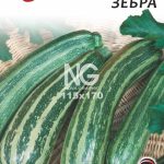 Кабачок Зебра