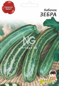 Кабачок Зебра