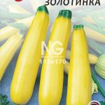 Кабачок Золотинка
