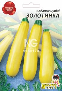 Кабачок Золотинка