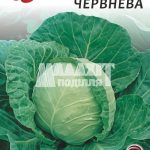 Капуста Рання Червнева