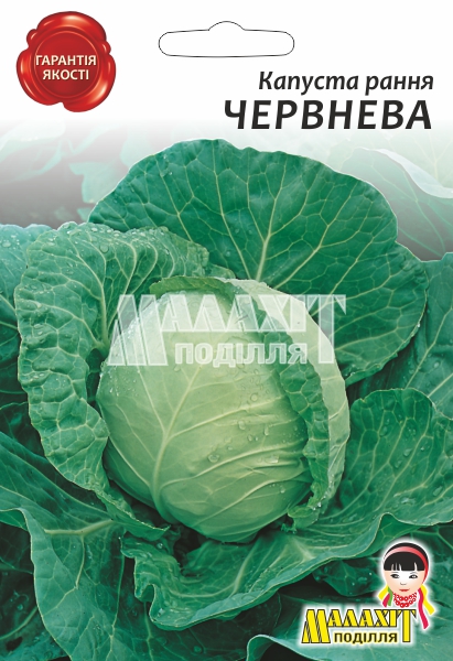 Капуста Червнева 705240_1 Капуста Рання Червнева - Зображення 1