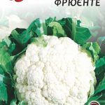 Капуста Цвітна Фрюєнте