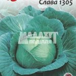 Капуста Слава