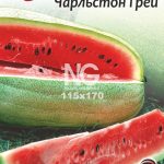 Кавун Чарльстон Грей