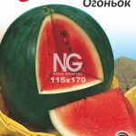 Кавун Огоньок