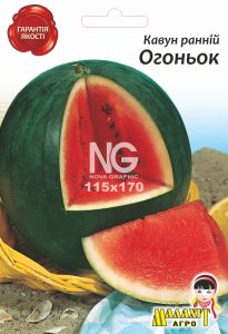 Кавун Огоньок