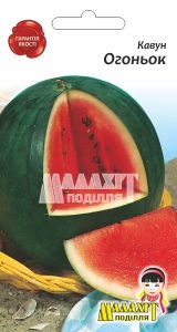 Кавун Вогник