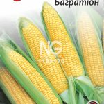 Кукурудза Багратіон