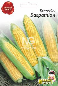 Кукурудза Багратіон