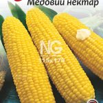 Кукурудза Медовий Нектар