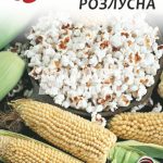 Кукурудза Розлусна (Попкорн)