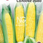 Кукурудза Солодке Диво