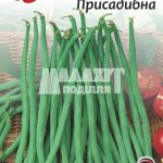 Фасоля Присадибна