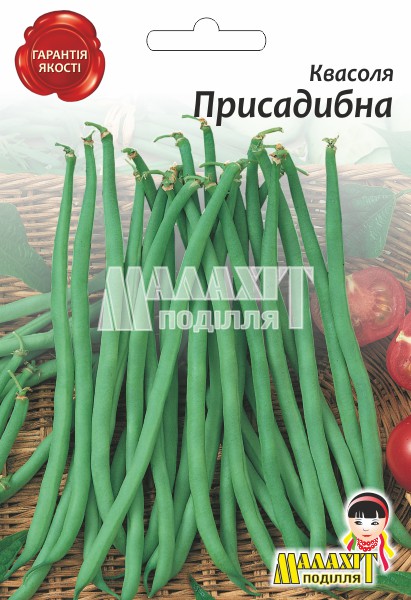 Квасоля Присадибна N1600039_1 Фасоля Присадибна - Зображення 1