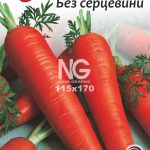 Морква Без серцевини