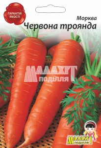 Морква Червона Троянда
