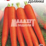 Морква Долянка