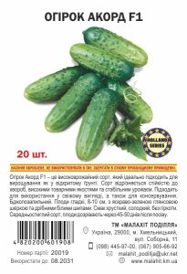Огірок Акорд F1