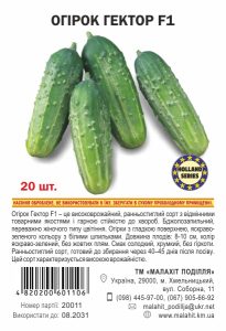 Огірок Гектор F1