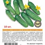 Огірок Кібрія F1