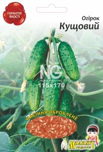 Огірок Кущовий