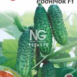 Огірок Роднічок F1