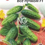 Огірок Все Пучком F1